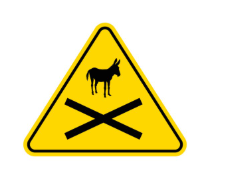 Don't be a Money Mule